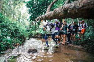 BIB: 
                            <button type="button" onclick="openModal(25370474)" class="btn btn-primary btn-sm float-right btn-popup" data-toggle="modal" data-target=".modal-high-quality">
                        <i class="fas fa-shopping-cart"></i> Add to Cart
                    </button>
                                            <button type="button" onclick="isThisMe(25370474, true)" class="btn btn-success btn-sm float-right btn-popup btn-isme hidden" data-toggle="tooltip" data-placement="bottom" title="นี่คือรูปของคุณใช่ไหม คลิกที่นี่เพื่อเอาเข้าอัลบั้ม">
                        <i class="fas fa-plus"></i> Add to album
                    </button>
                    <button type="button" onclick="isThisMe(25370474, false)" class="btn btn-warning btn-sm float-right btn-popup btn-isnotme hidden">
                        <i class="fas fa-ban"></i> Remove from album
                    </button>